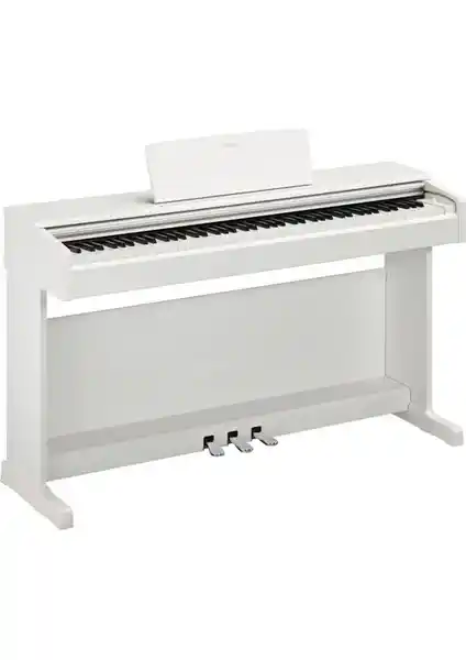 Yamaha YDP145WH ile YDP165WH Dijital Piyano Modellerinin Detaylı Karşılaştırması