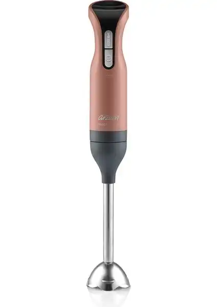 Arzum Prostick 1000 ve King KEB 975 Boden Blender Karşılaştırması ve En Uygun Seçenek