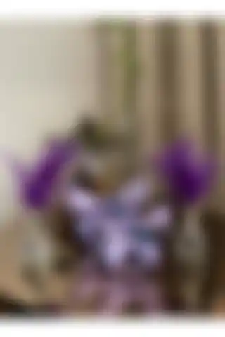 Housess Dekoratif Mor Kelebek ve Gümüş Tüylük Biblo ile Ev Dekorasyonunuzu Şıklıkla Tamamlayın