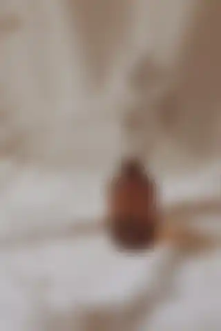 LALEZEN HOME 100 ml Amber Kahverengi Cam Şişe Vazosu ile Ev Dekorasyonunu Güzelleştirin