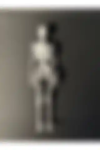 MilenyumStudios'un Tek Parça İnsan Anatomisi İskeleti: Dayanıklı ve Kullanışlı Bir Ürün