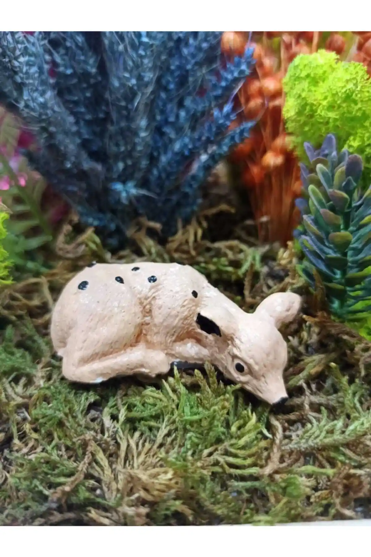 Ceylan Teraryum Obje: Doğanın Estetiğini Yansıtan Şık Bir Aksesuar