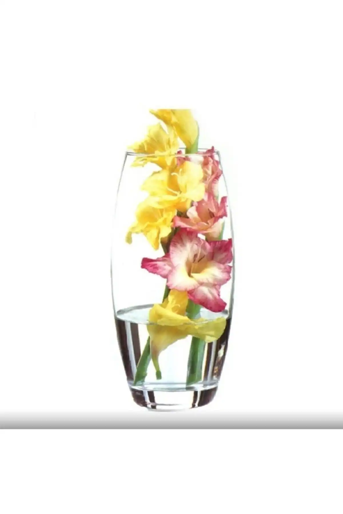 Paşabahçe Botanica Vazo 43966: Şıklık ve Dayanıklılığın Mükemmel Uyumu