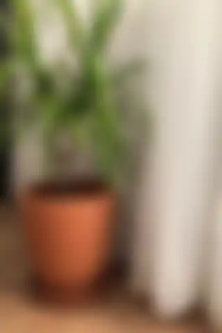 Woosen Büyük Boy Doğal Toprak Çömlek Saksı ile Estetik ve Fonksiyonel Bir Seçim Yapın