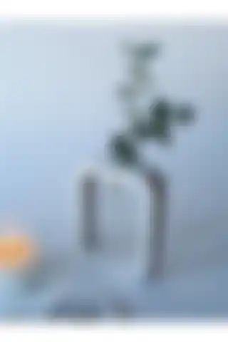 Ahşap Mağazası Oval Kare Saksı Vazo Borox Cam Tüplü ile Bitki Yetiştirme Deneyimi