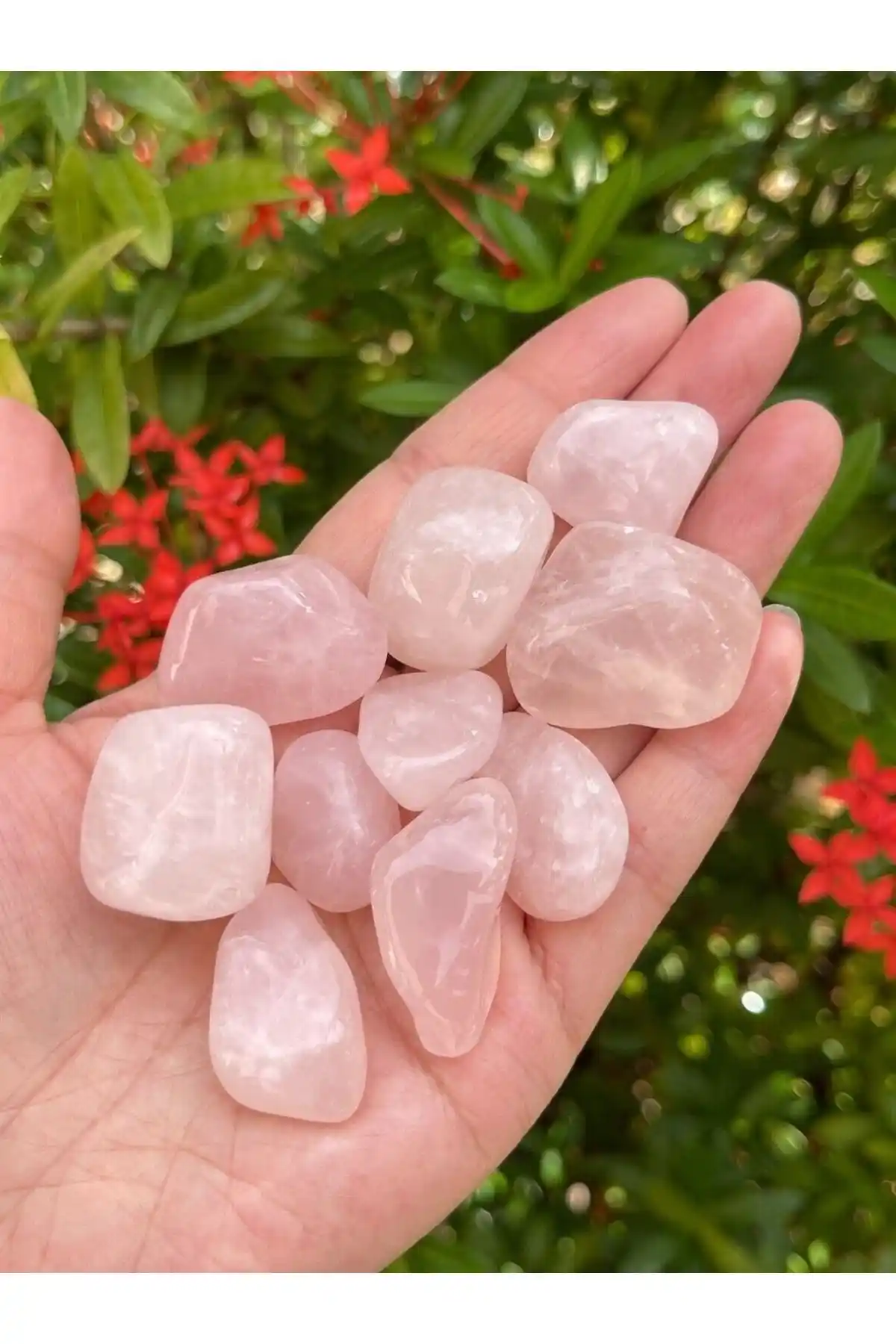 CessNova Pembe Kuvars Doğal Taş Tımbıl: Estetik ve İşlevsel Dekorasyon Parçası