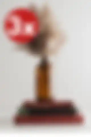 LALEZEN HOME Amber Cam Şişe Vazoları ile Evinizi Yenileyin ve Şıklığı Yakalayın