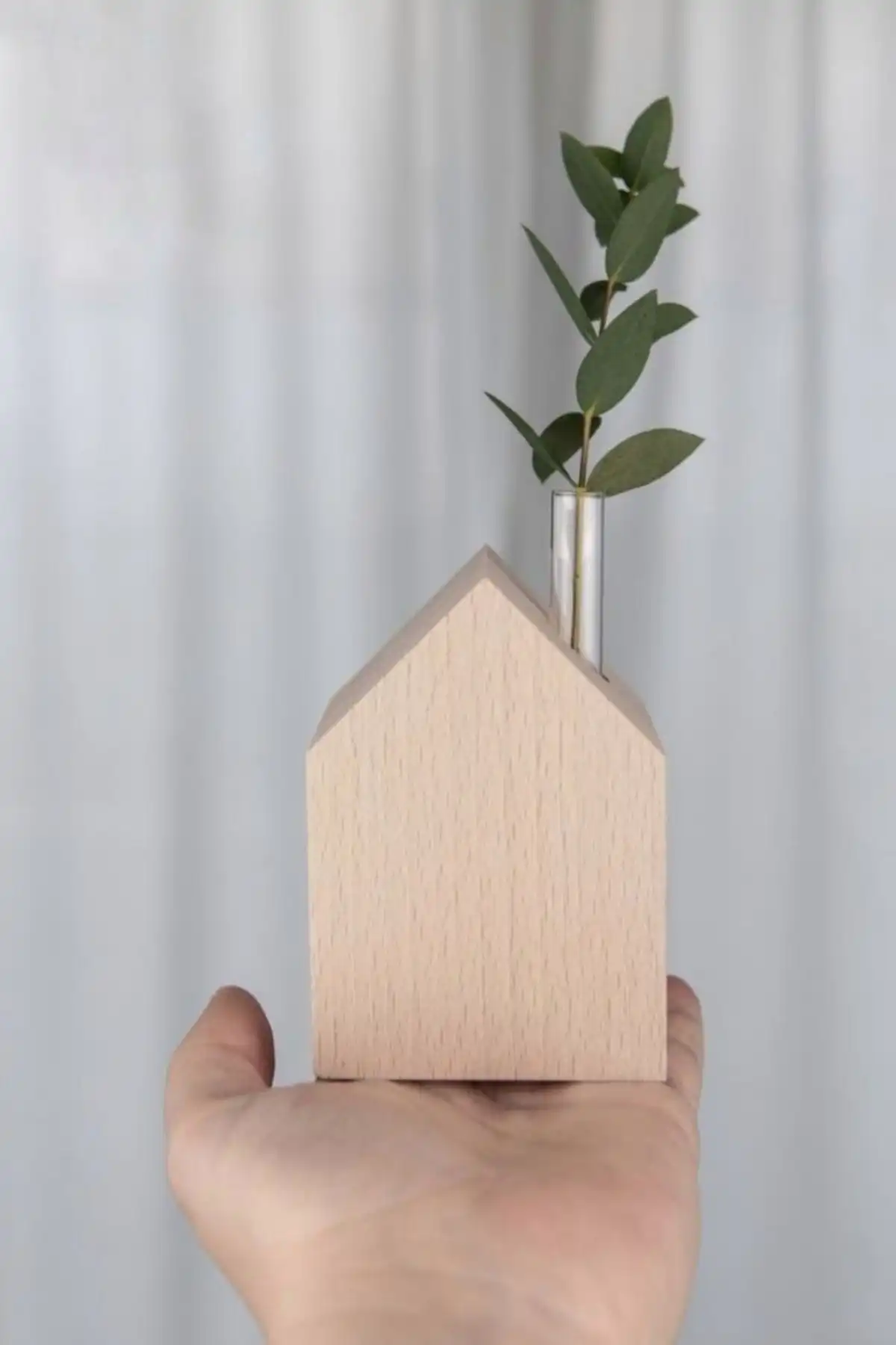 Lalezen Home Ev Saksılığı: Doğal ve Şık Bir Dekorasyon Unsuru