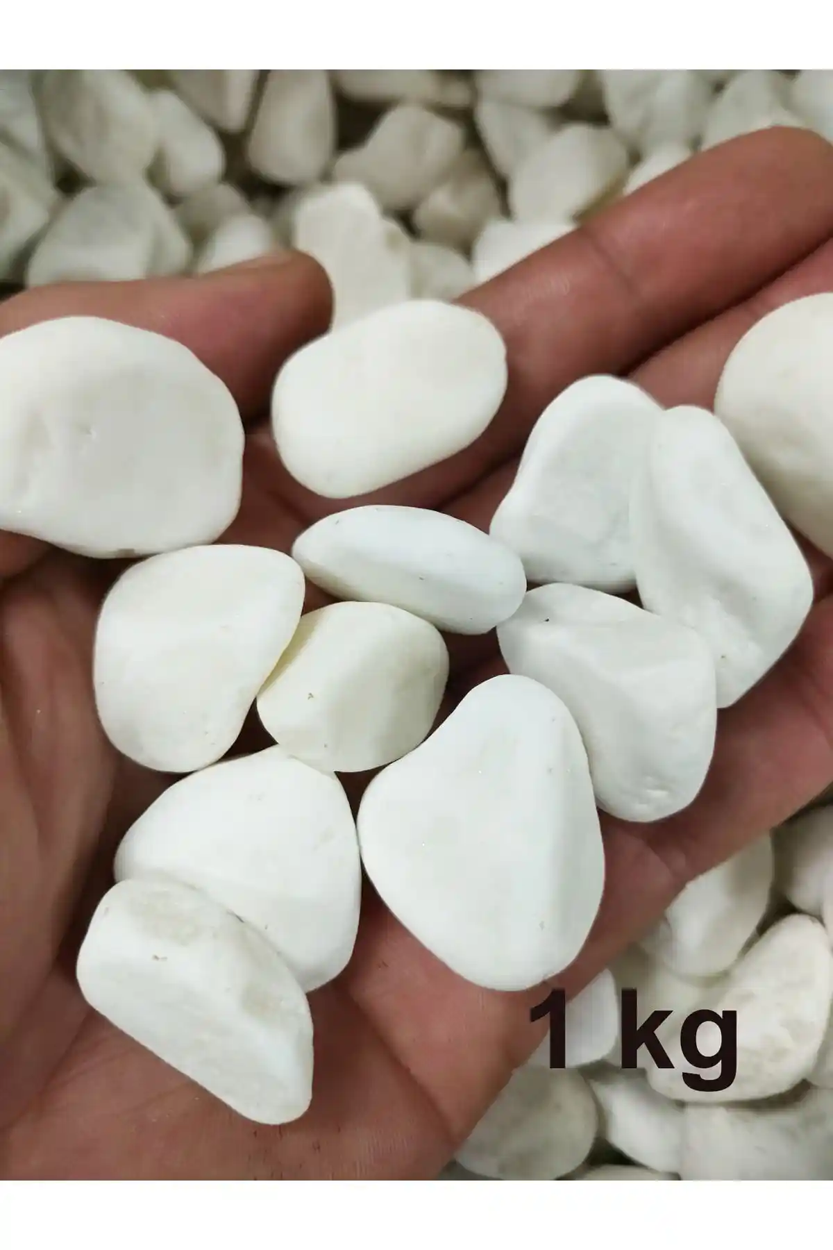 Lampello Beyaz Dolomit Taş: Şık ve Doğal Dekorasyon İçin İdeal Seçenekler