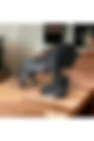 BYK DESIGN: Zarif Hayvan Figürü ile Ev ve Ofis Dekorasyonunuzu Güzelleştirin