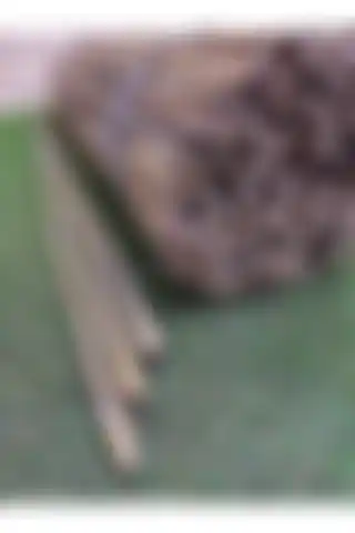 Ekodoğa Bambu Çubukları: Doğal ve Çevre Dostu Bitki Destek Çözümleri