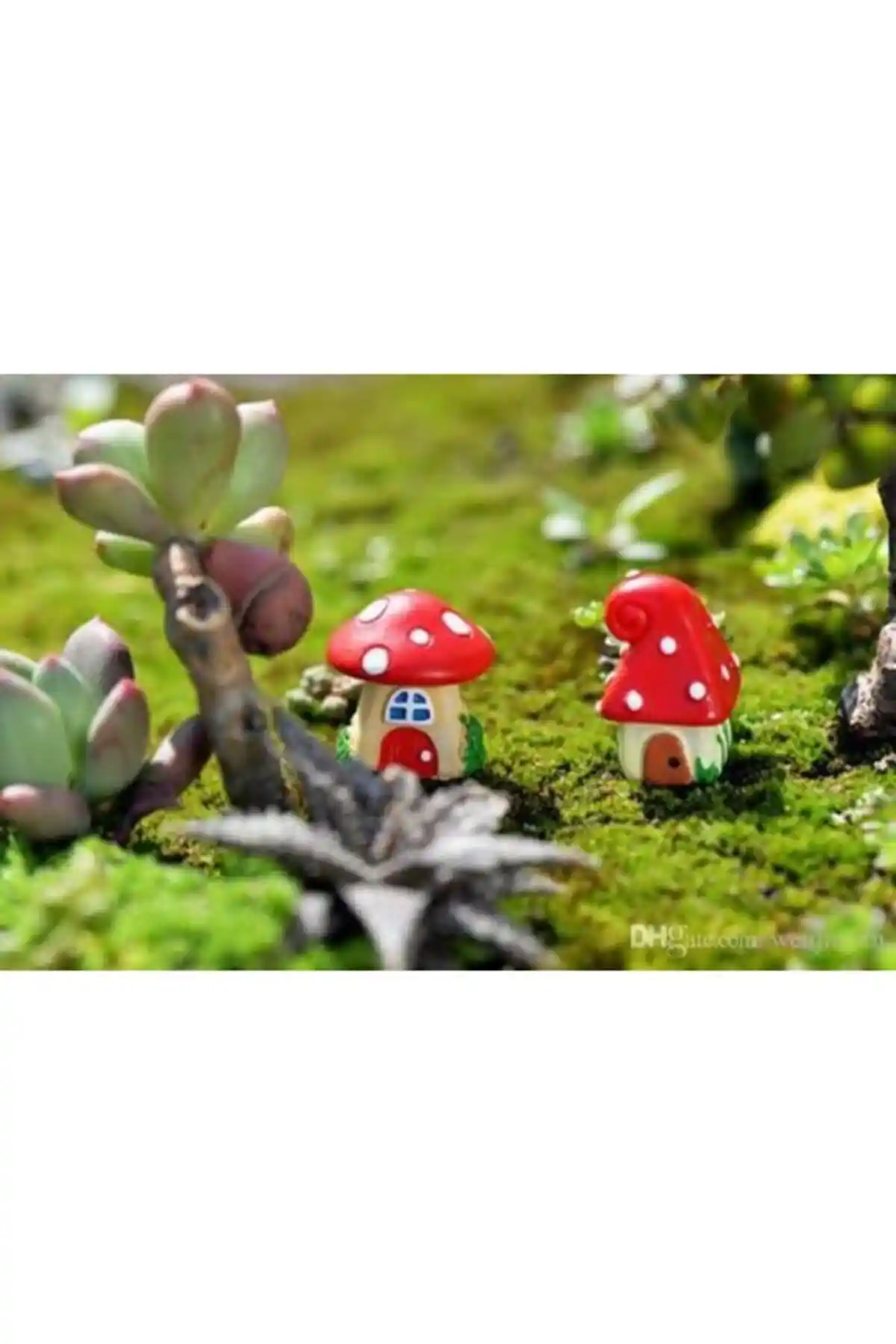 Himi Teraryum Obje İncelemesi: Estetik, Dayanıklı ve Doğal Malzemelerle Tasarlanmış