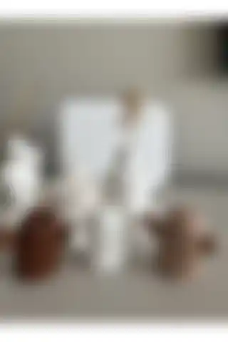 Louve Store'un Dekoratif 3’lü Kaktüs Biblo Seti ile Şıklığı Yakalayın