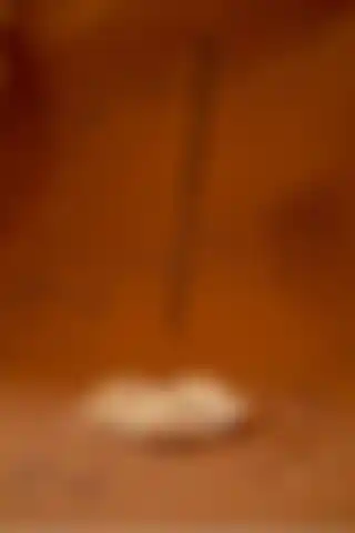NocheLuz Lotus Şeklinde Çubuk Tütsülük ile Ev Dekorasyonunuzu Geliştirin