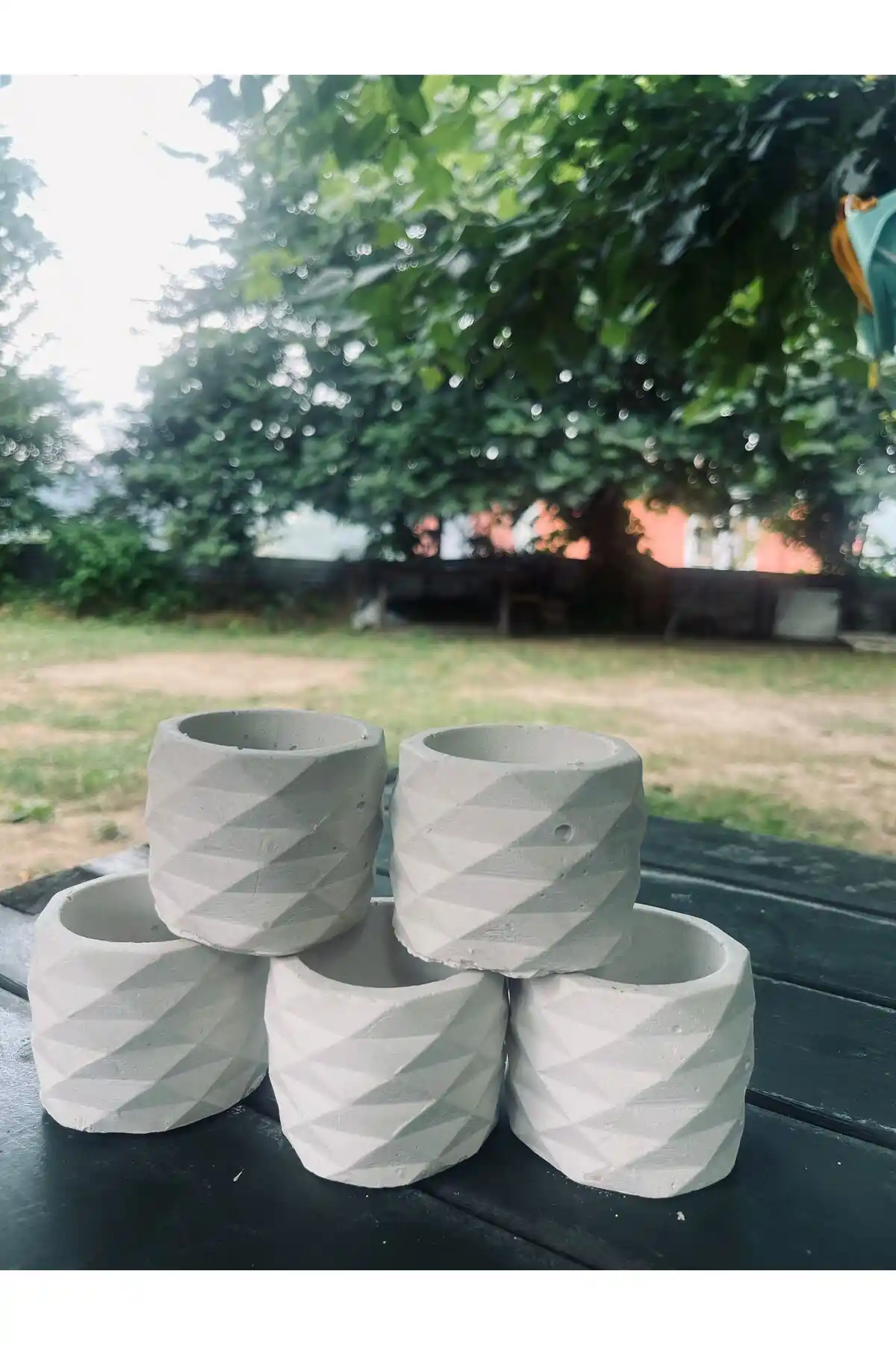 WeSankHAM Obje Kaktüs Saksılık 5'li Set: Boyanabilir ve Doğa Temalı Tasarım