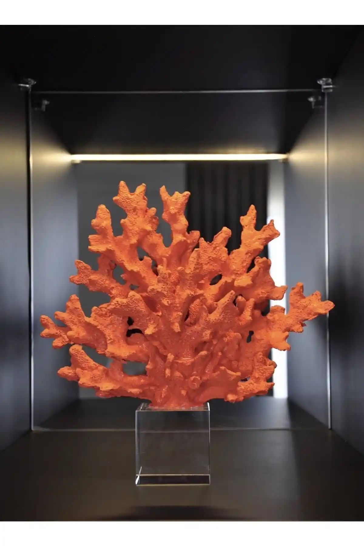 Estetik ve Fonksiyonelliğiyle Decorem Dekoratif Kristalli Turuncu Mercan Aksesuarı