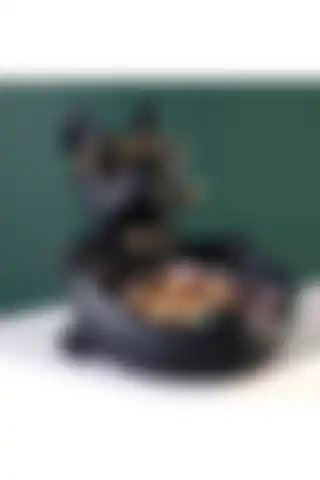 Kayra HobiBulldog Köpek Dekoratif Heykel Biblo ile Estetik Dokunuşlar