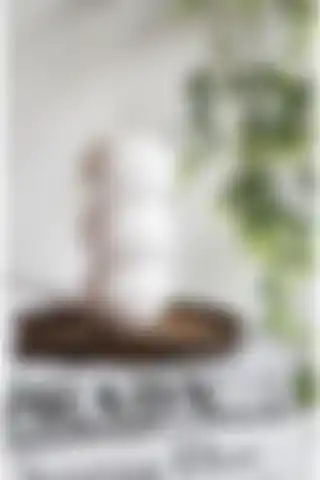 LALEZEN HOME Bohem 3 Bölmeli Boncuk Vazo ile Şık ve Fonksiyonel Dekorasyon