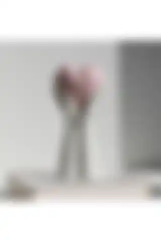 Roses Shop Kalp Tutana El Vazo Beton Sunum Saksı ile Şık ve Dayanıklı Dekorasyon