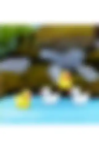 Himi Teraryum Obje Seti ile Bahçelerinize Estetik ve Renk Katın