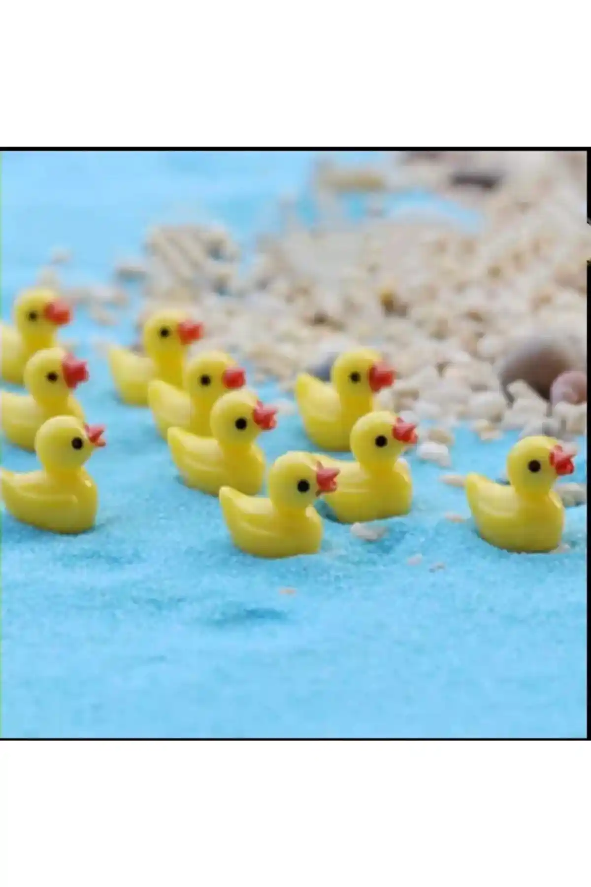 Himi Teraryum Objeleri ile Evinizde Estetik Bir Atmosfer Oluşturun