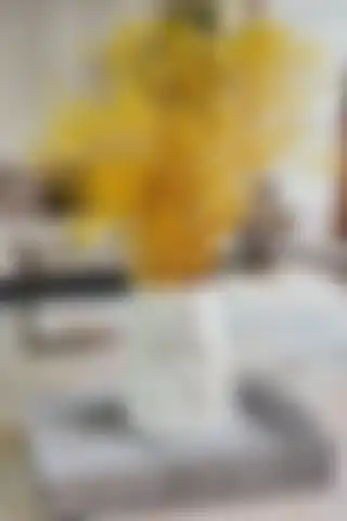 Serengeti Dekoratif Vazo: Modern ve El Yapımı Şıklık için Mükemmel Seçim