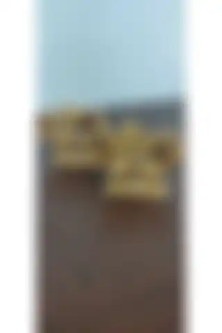 Asfhome Yenilendi Polyester Biblo ile Evinizdeki Estetiği Artırın