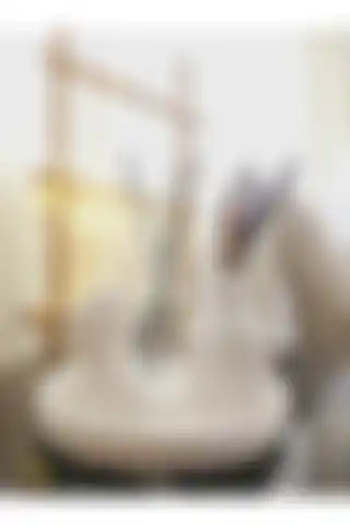 DNZ Dekoratif Oval Kuru Çiçek Pampas Vazosu ile Modern Ev Dekorasyonu