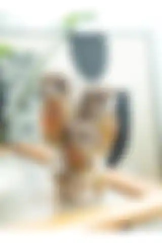 E-life shop Lüks İşlemeli Taşlı Aynalı 3’lü Aile Baykuş Biblo: Şıklığın Sembolü
