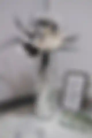 HOMİLA 60 Cm Beyaz (GÜMÜŞ) Aynalı Vazo ile Modern Dekorasyon Fırsatları