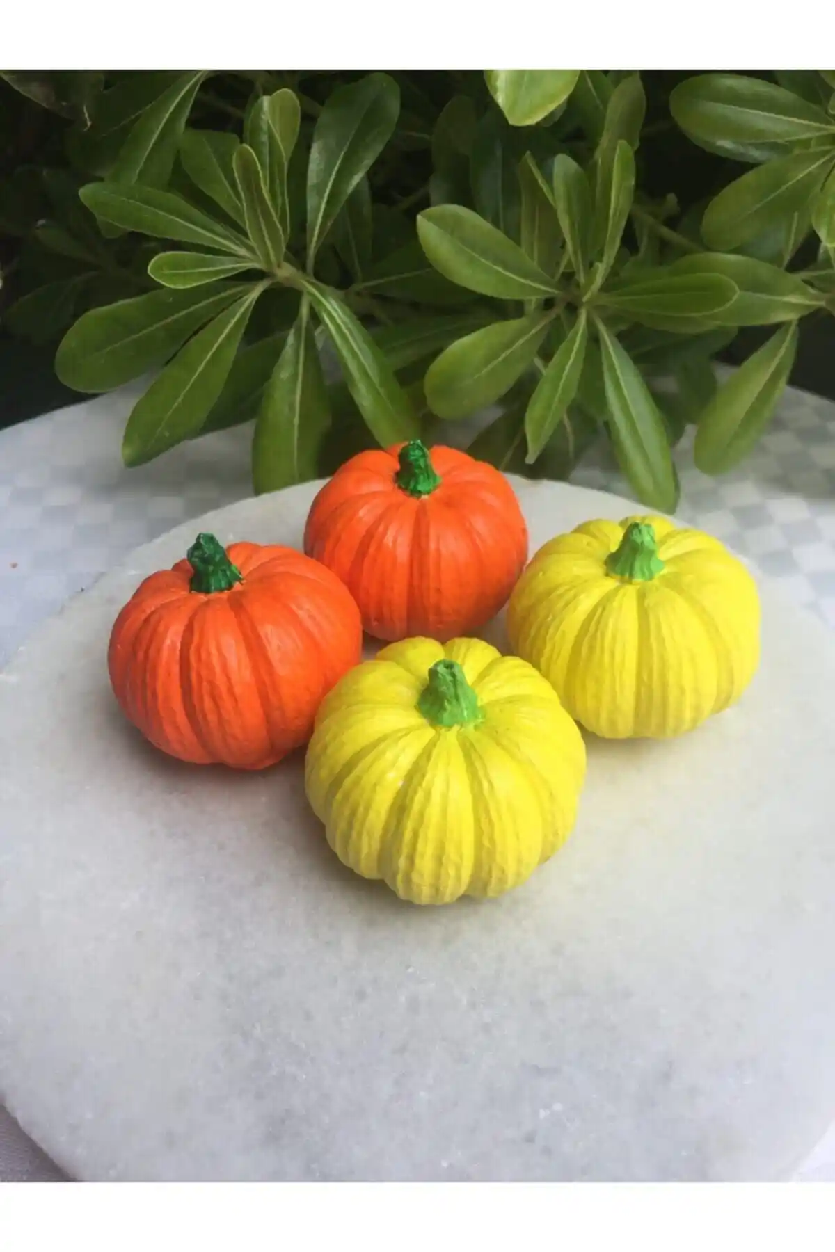 Minik Dükkan El Yapımı Dekoratif Kabak ile Ev Dekorasyonunuzu Renklendirin