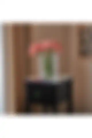 Paşabahçe’nin Dekoratif Kendinden Gravürlü Vazosu ile Evinizi Güzelleştirin