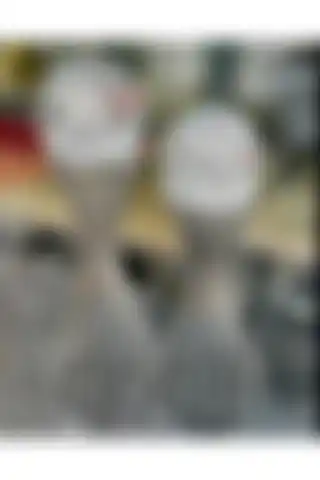 DECOOR MALL 2'li Küre Çapraz Ayak Seti: Şıklık ve Kaliteyi Evinize Taşıyın