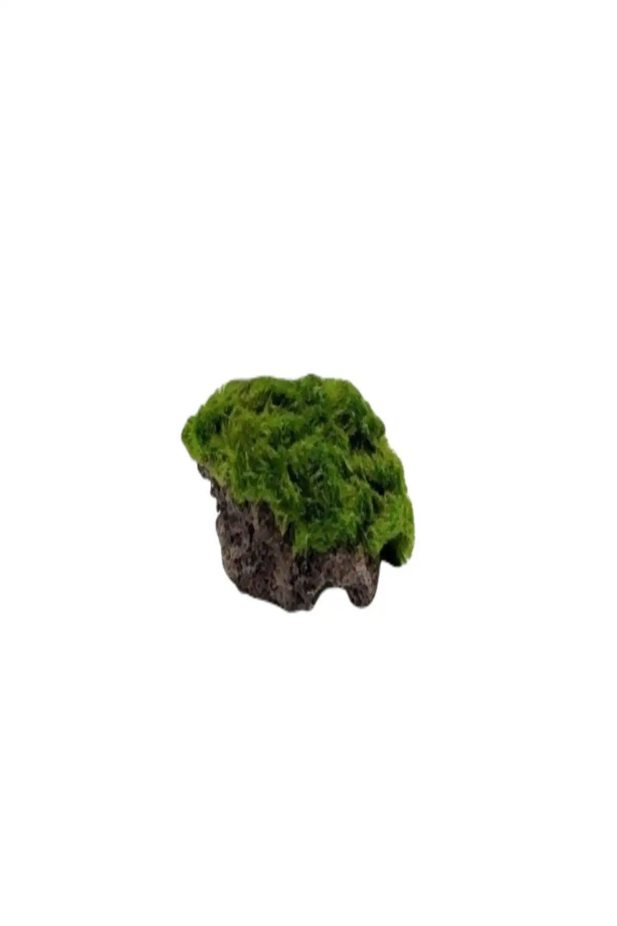 Estetik Tasarımıyla Marimo ScapeMarimo Rock Mini: Doğayı Evinize Taşıyın