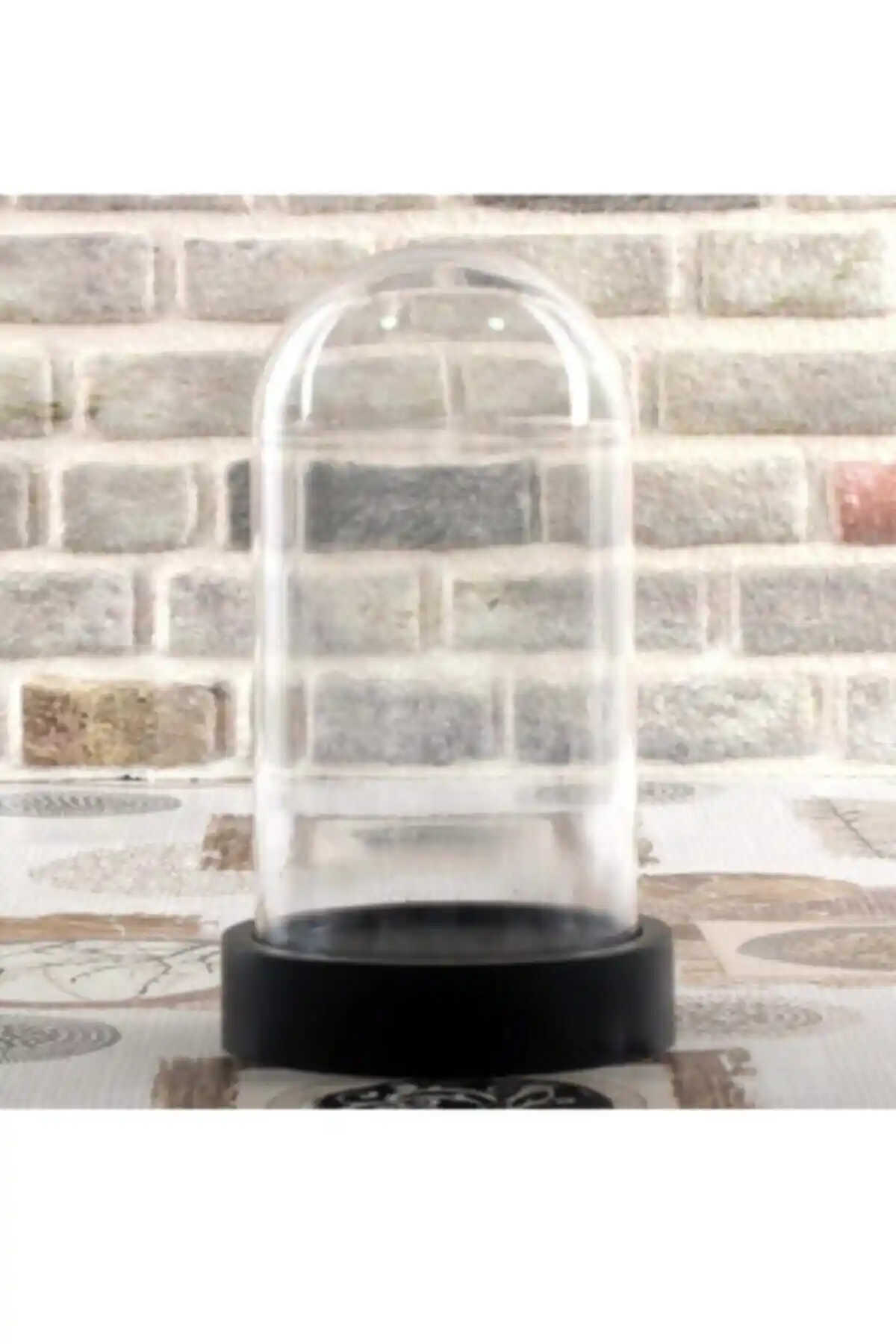 Favori Home Ters Fanus Boş Mika: Şık ve Fonksiyonel Teraryum İle Bitkilerinizi Sergileyin