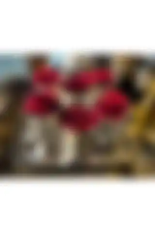 PONCİKPAZAR Gül Kovası: Şık ve Fonksiyonel Dekorasyon Ürünü Seçenekleri