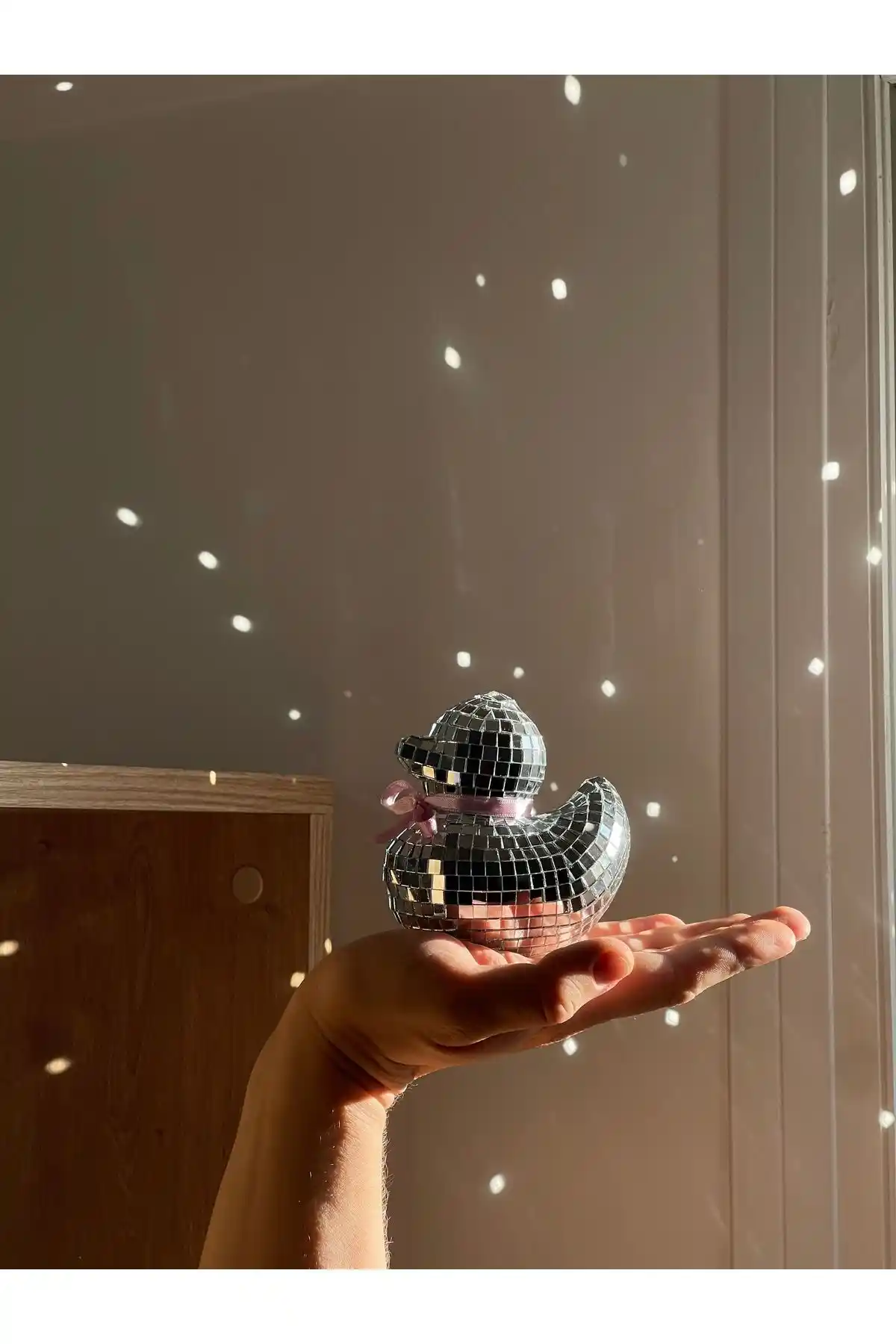 RedameÖrdek Disko Topu: Retro Tarzı ile Modern Mekanlar İçin Şık Dekorasyon