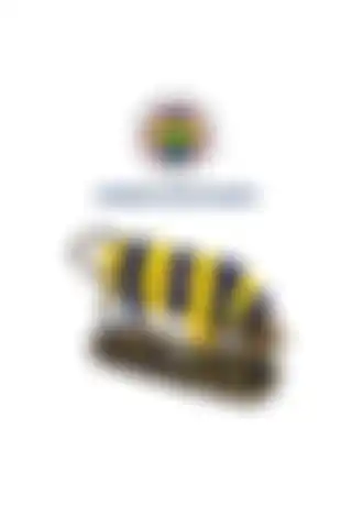 Fenerbahçe Lisanslı Kadıköy Boğa Biblo Heykeli ile Takım Tutkusunu Yansıtın