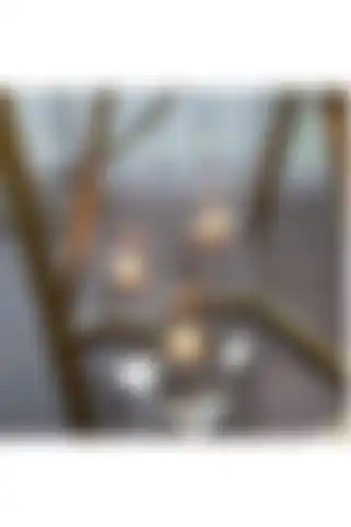 GLASSY 3'lü Cam Silindir Seti ile Modern ve Estetik Dekorasyon Çözümleri