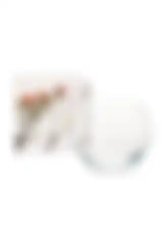 Paşabahçe 43417 Botanica Küçük Boy Vazo Fanusu: Estetik ve Fonksiyonellik