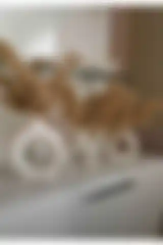 Ucanlight Dekoratif Büyük Boy Halka Vazo ve Çatal Vazo Seti ile Evinizi Şıklık Katın