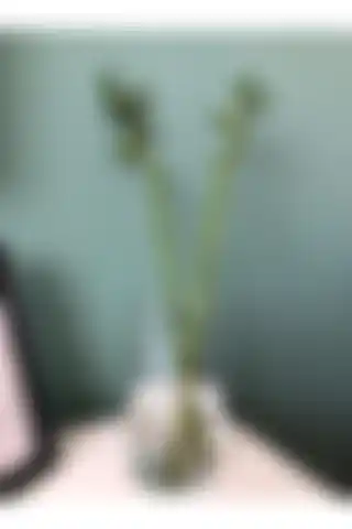 Nova Elite İki Adet Dekoratif Cam Vazo: Estetik ve Fonksiyonel Çözüm