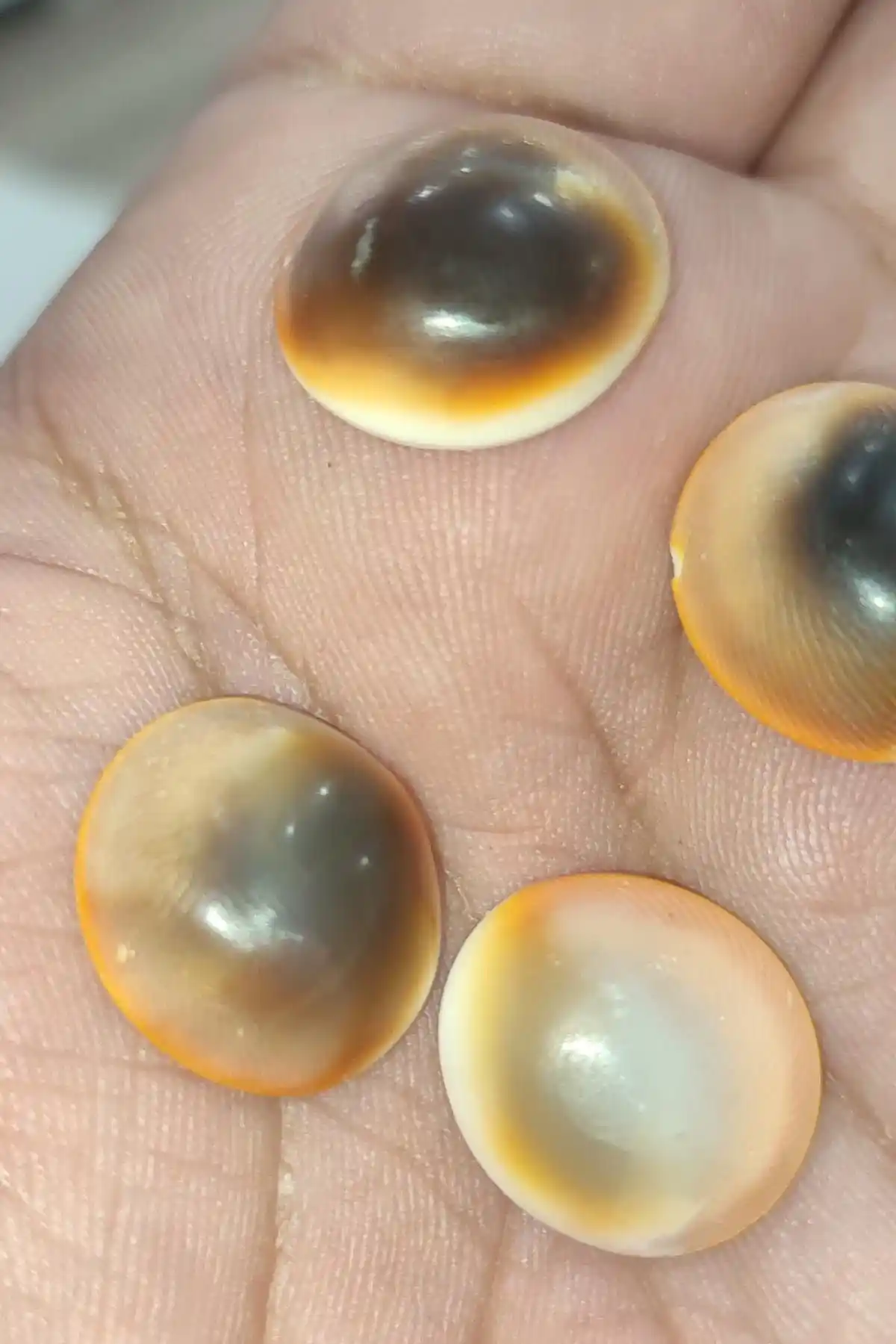 Yılancık Taşı: Doğal Derman ve Sağlık Ürünlerinin Şifası Hakkında