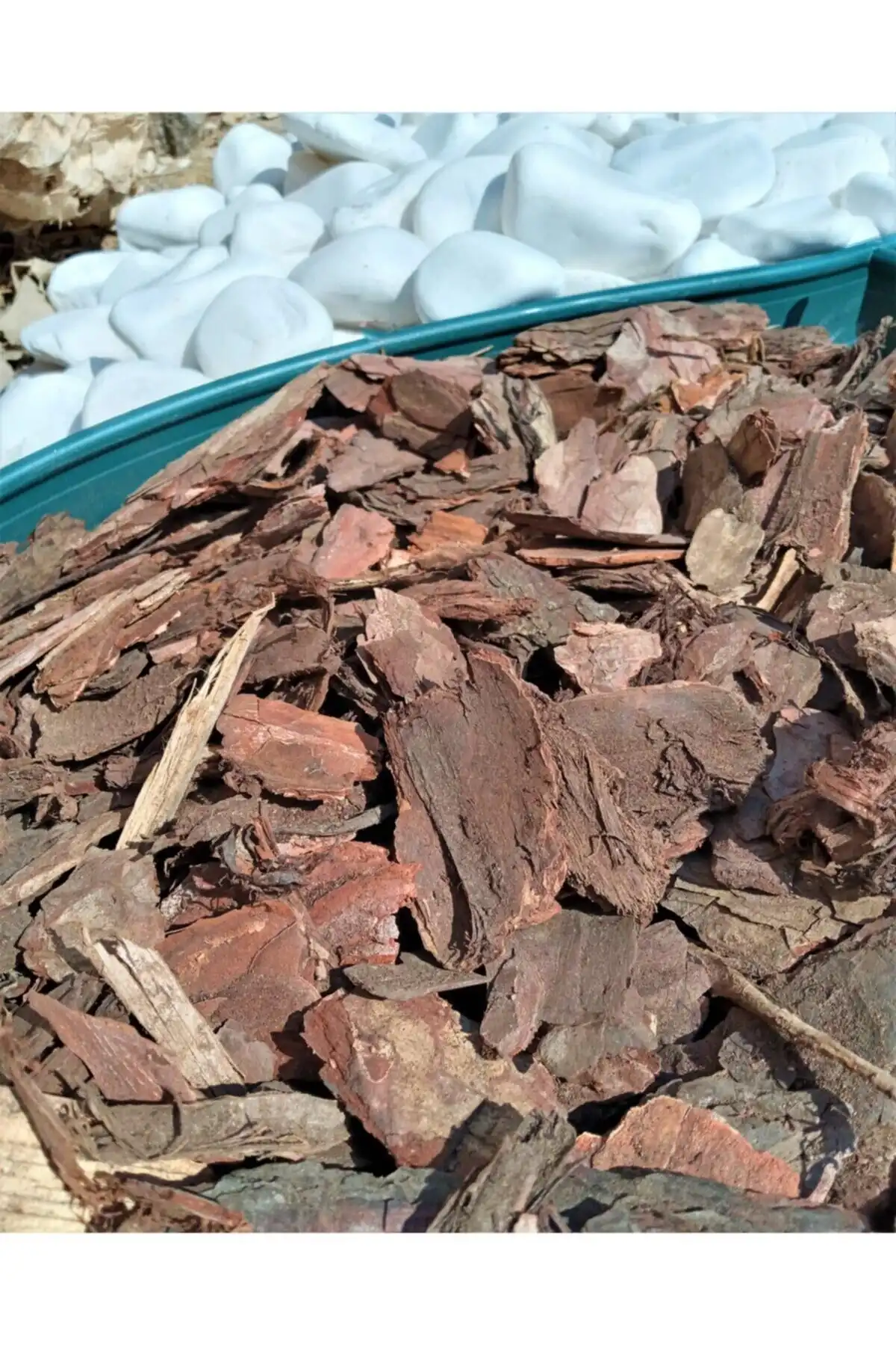 Dekoratif Çam Kabuğunun Kullanımı ve Faydalarıyla İlgili Bilgilendirme Yazısı