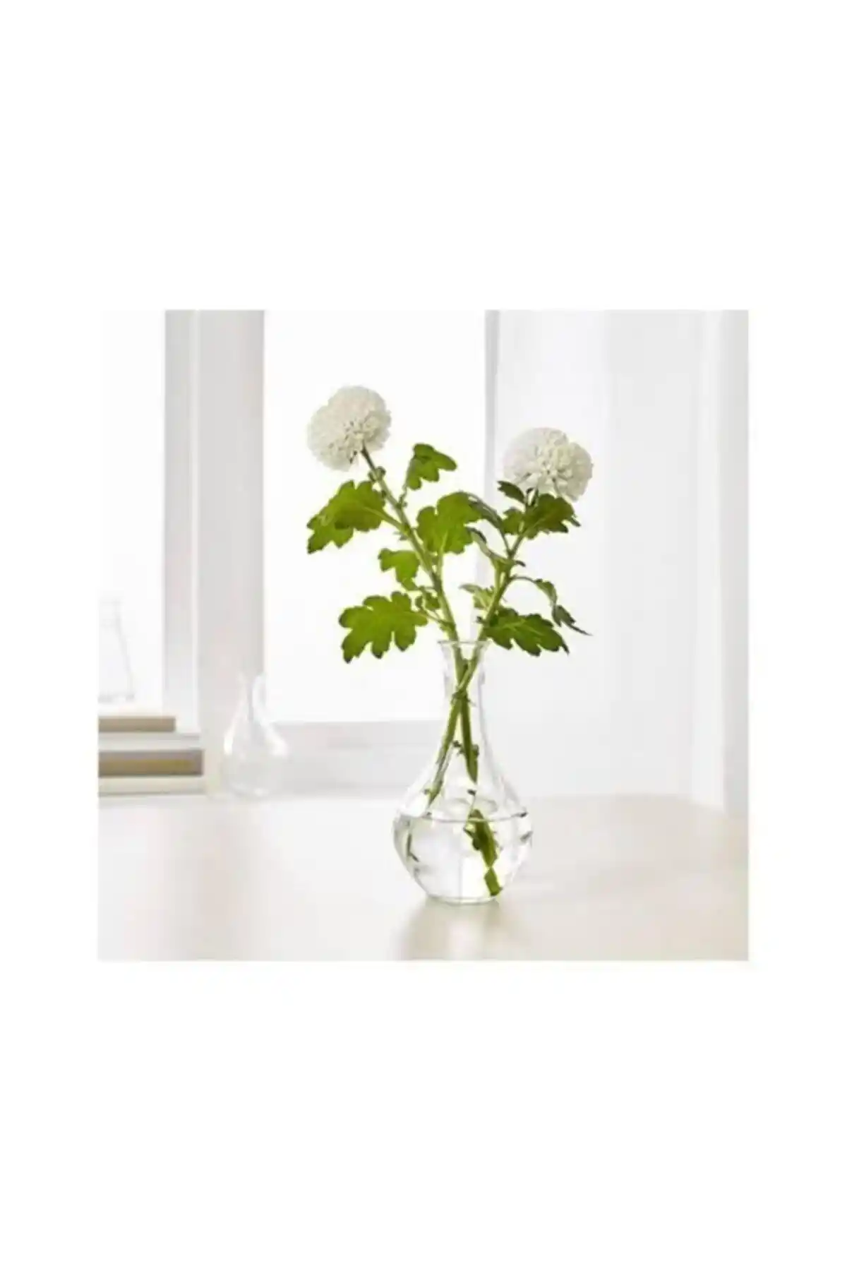 IKEA Cam Vazo Vıljestark: Şık ve Kullanışlı Dekorasyon Ürünü İncelemesi