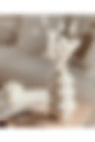 Modern ve Minimalist Thiramis İskandinav Beyaz Geometrik Vazo ile Dekorasyon