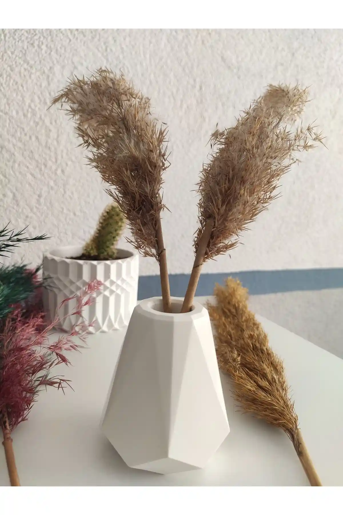 ROLLOR Pampas Vazosu: Minimalist Tasarımıyla Şık Bir Ev Dekorasyonu Alternatifi