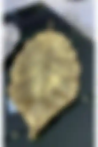 2Adam1DekorEv Yaprak Tabak Gold ile Ev Dekorasyonunuza Şıklık Katın