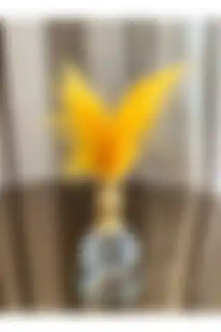 Housess Sarı Tüylü Gold Kristal Top Tüylük Dekor Biblo Süs ile Modern Mekanlar