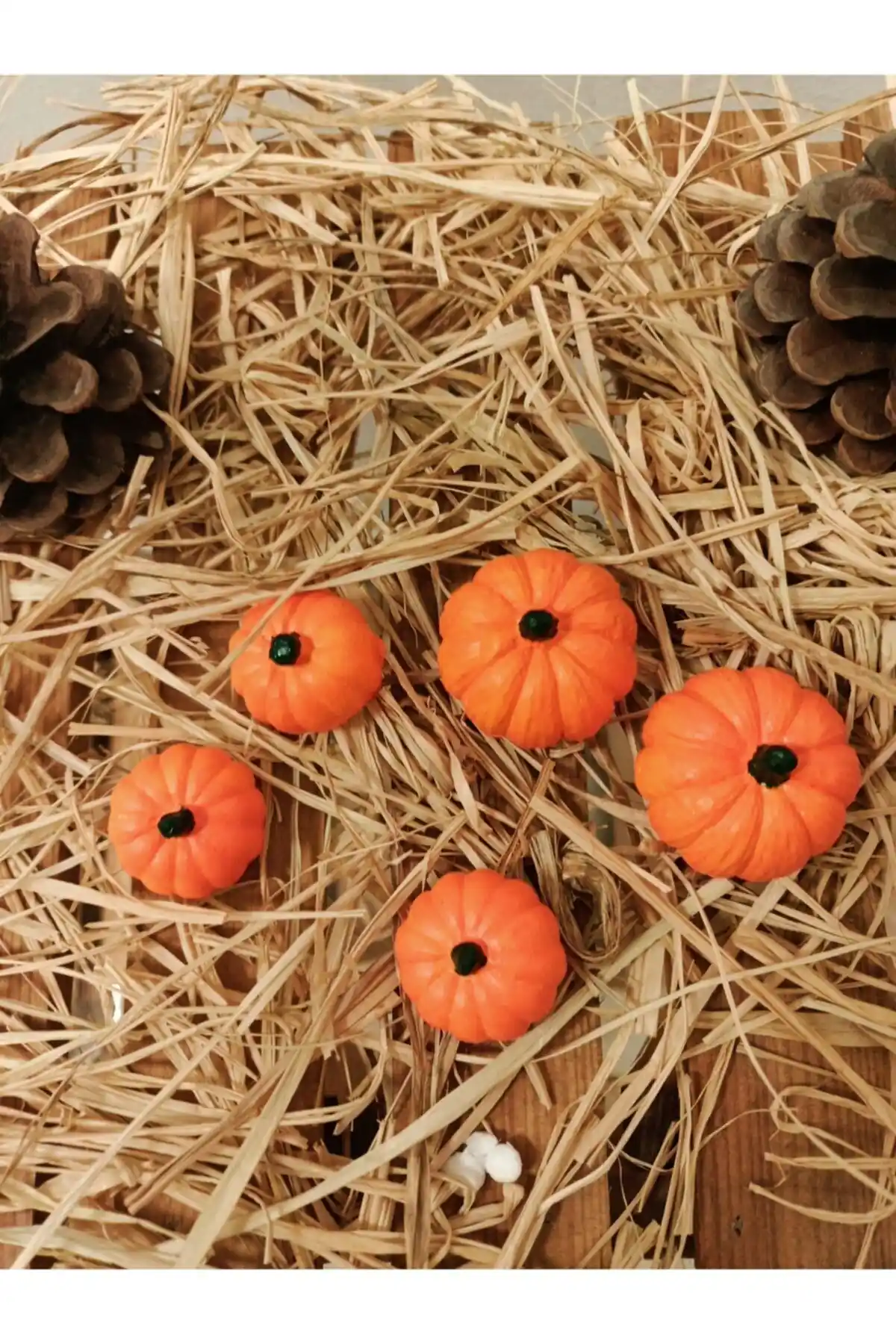 Genel Markalar Aras Home Decor Bal Kabağı Seti: Şık ve Fonksiyonel Dekoratif Seçenekler